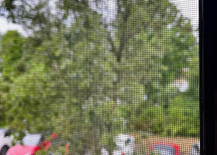 דירה Pfalz - Zentral, Elegant, Komfortabel *